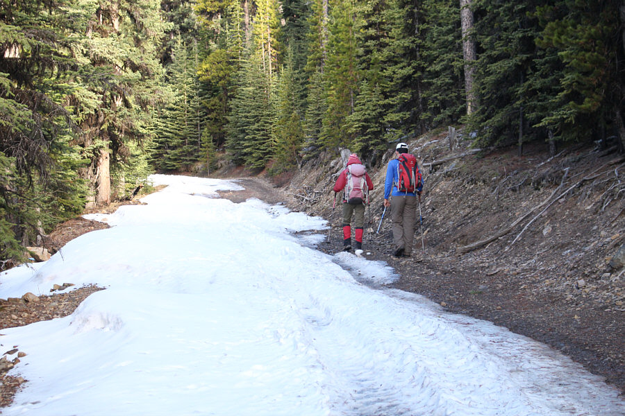 At least we were able to drive partway up the road to save some elevation gain.