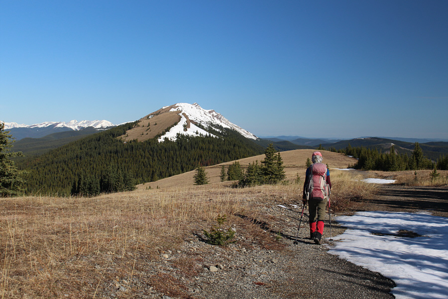 Someone should install a zip line here!