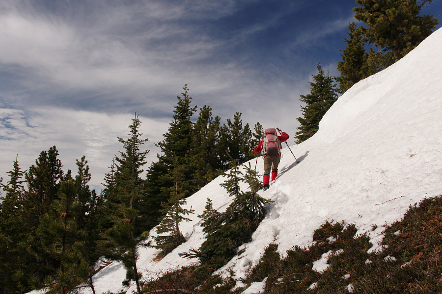 It sucks that we'll have to come back this way...