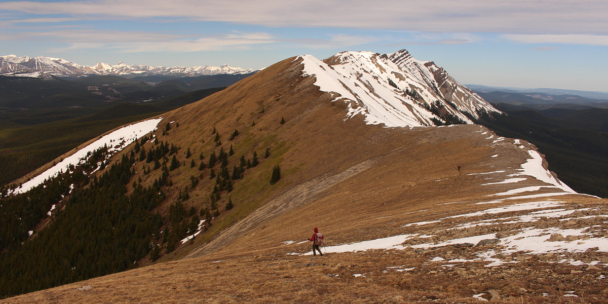 One might get seasick with all the ups and downs!