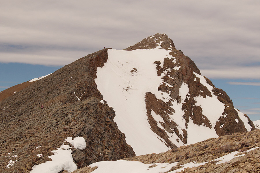 I think we're gonna make it!