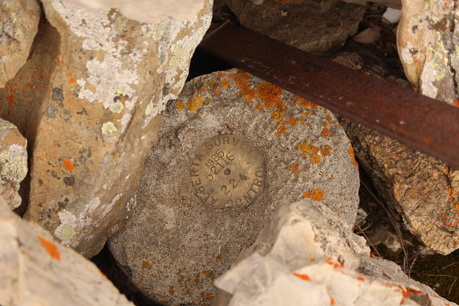 All we need is an ice cream stand here!