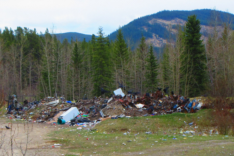 The Smallboy Camp is hardly cleaner than this...