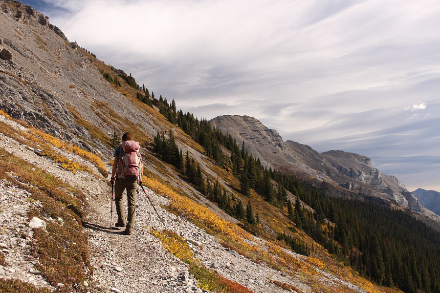 Bravo to whomever designed this trail!
