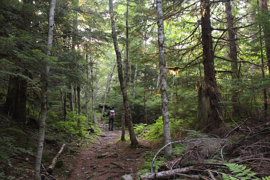 The undulations suck at the end of the day though!