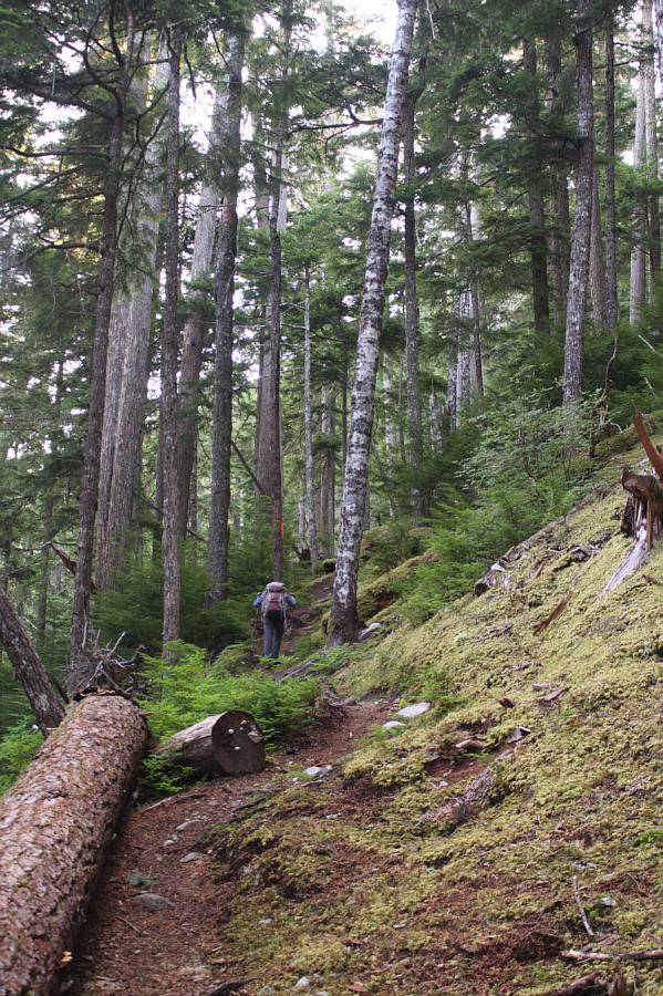 If you like steep grinds, this mountain is for you!