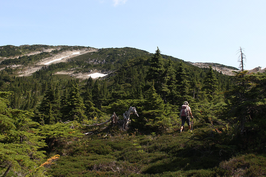 Route-finding here can be difficult and frustrating.