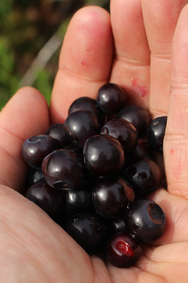 And they were...trust me!