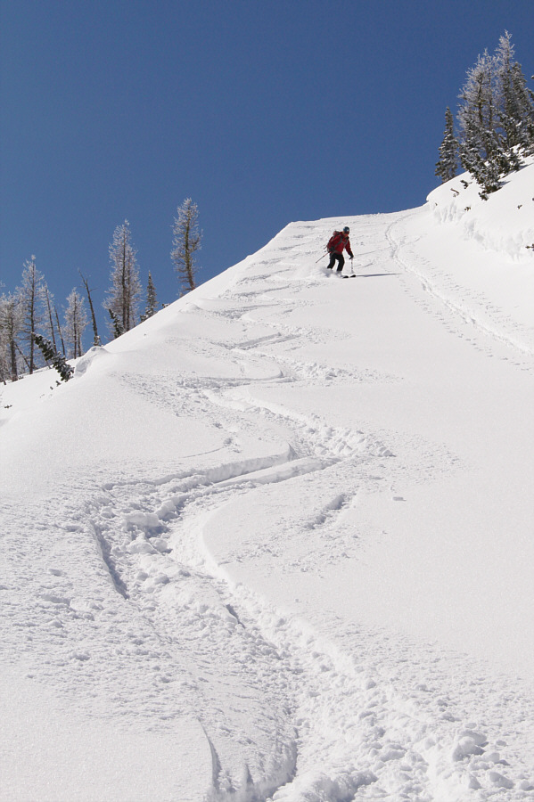 Skiing down here was simply...awesome!