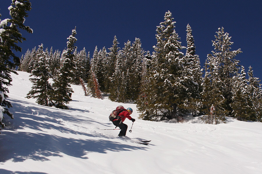 Hang in there, Zosia!