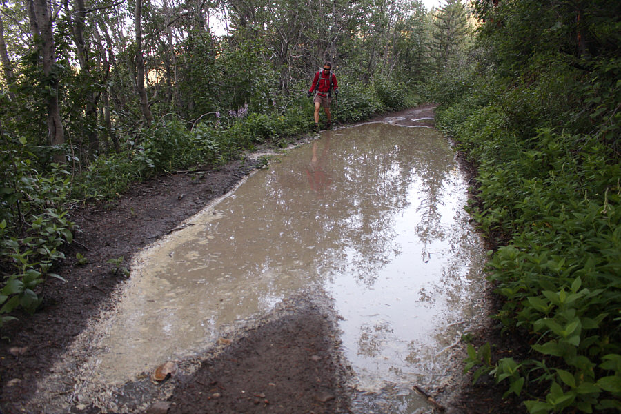 This is starting to get annoying...