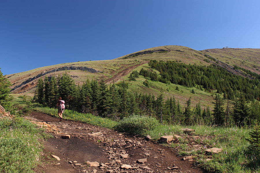 The wind feels nice and cool here...