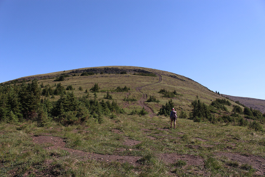 This would have been sweet to ski in winter!