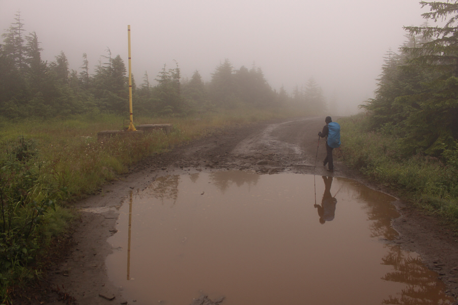 I probably should have driven all the way up!