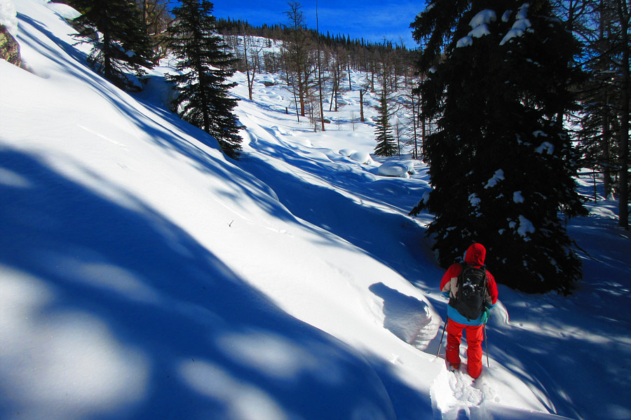 No broken trails this year--I guess we're on our own...