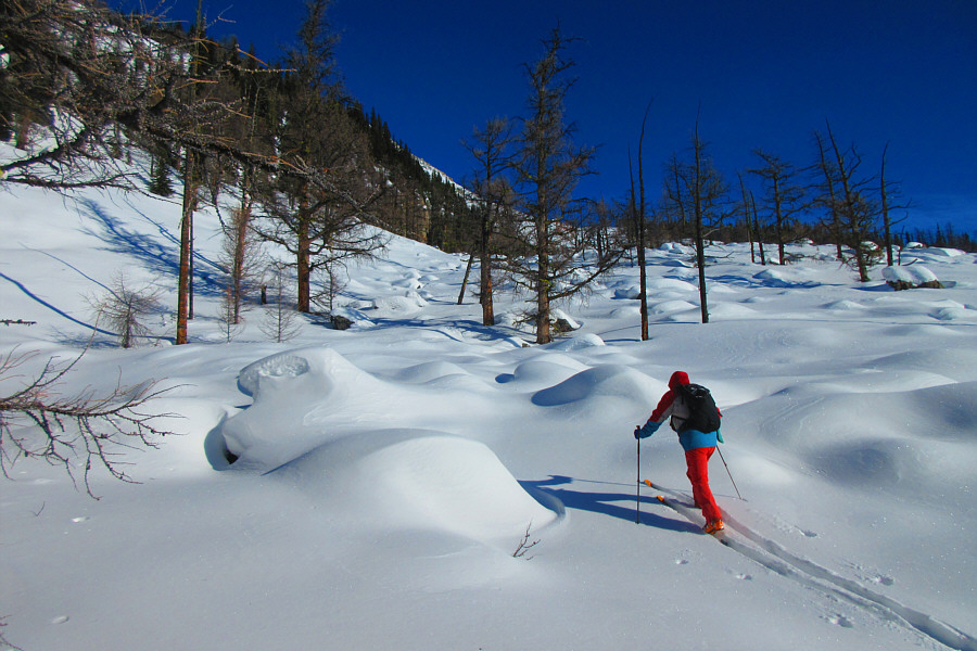 My token few minutes of breaking trail before Zosia takes over!