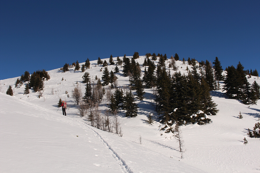 Mellow ski terrain just the way Zosia likes it!