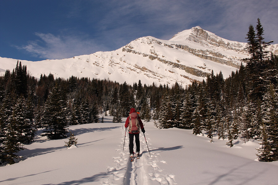 Great to have full sunshine!