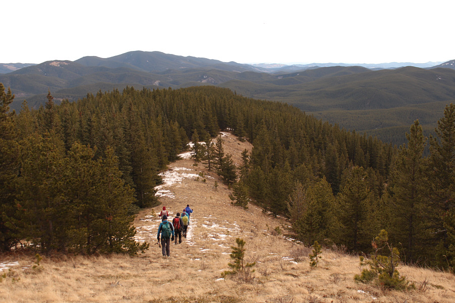 Looks like Spaulding Point is also a forested bump. Why are we going there?
