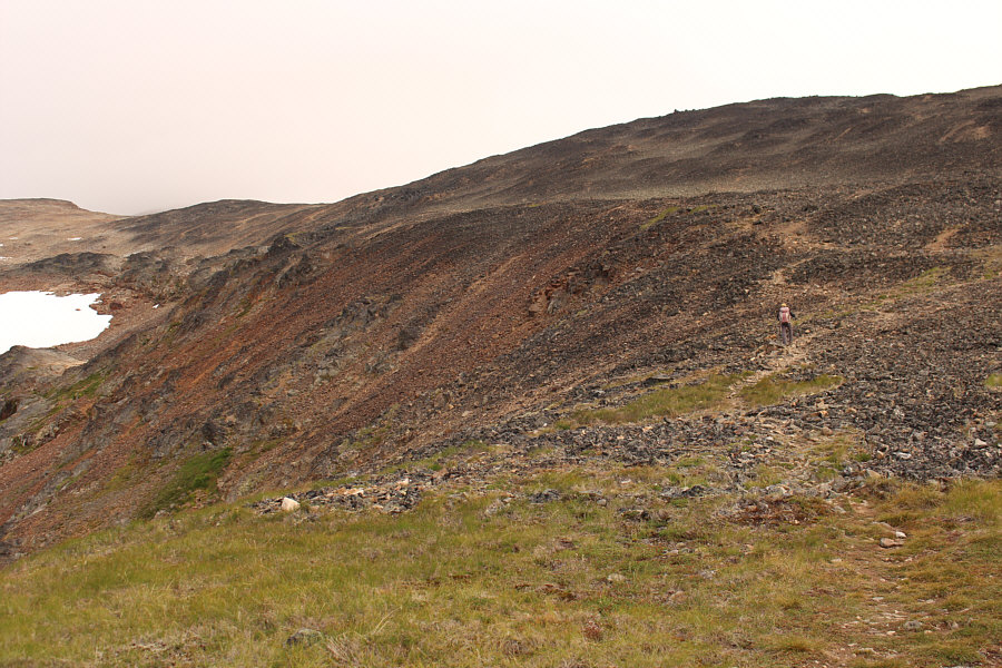 This would be so much more fun to ski in winter!