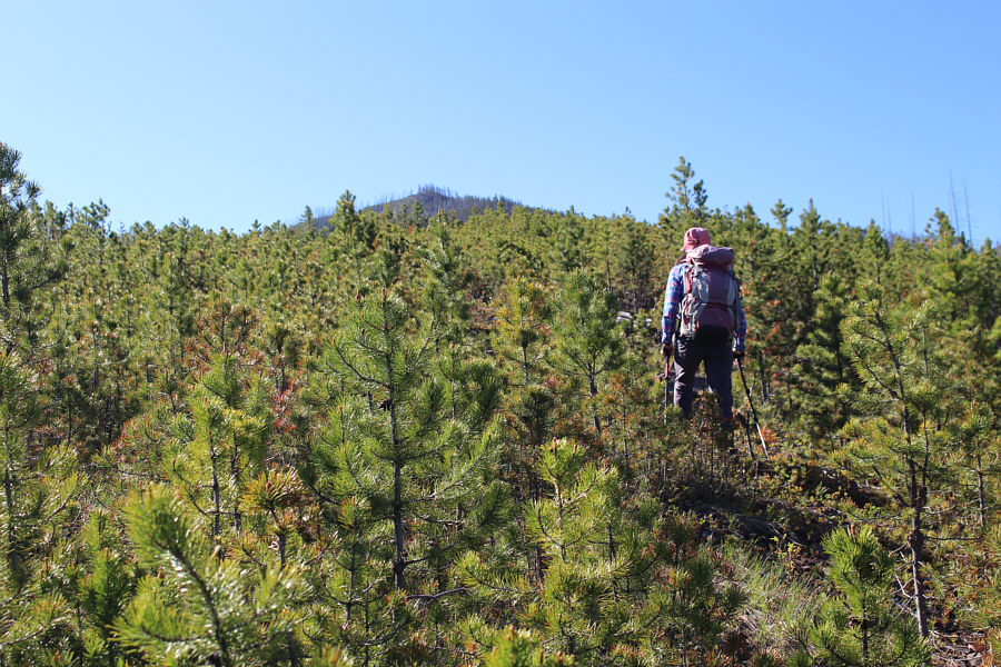 Still easy travel here, but I'm starting to get nervous...