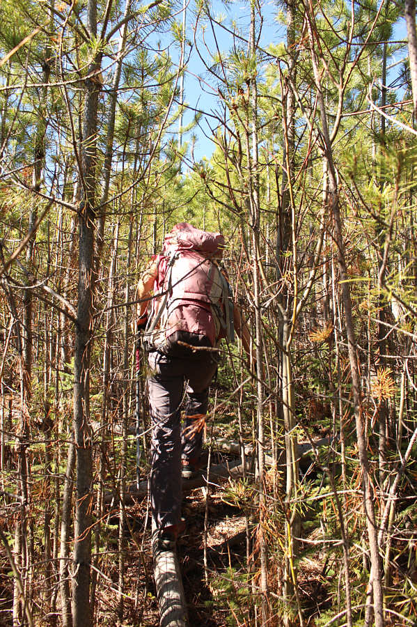 We're kinda at the point of no-return here...