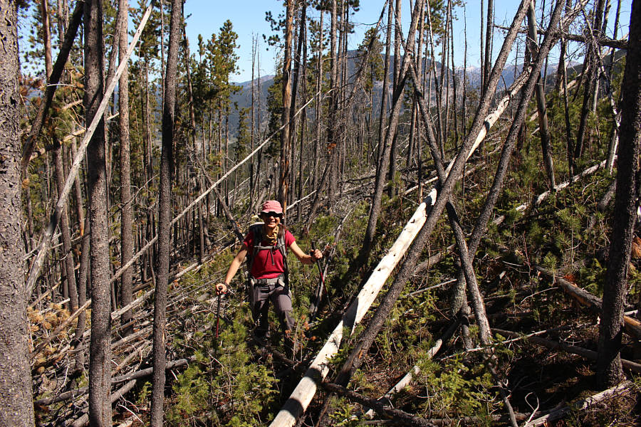 She must be high on drugs!