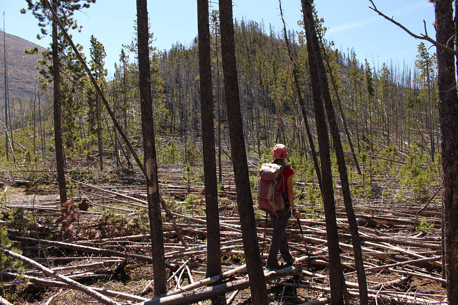 How the f**k did we end up here??