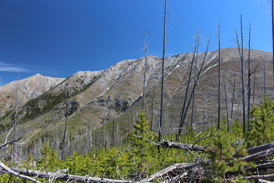 We probably should have climbed Turtle Mountain instead!