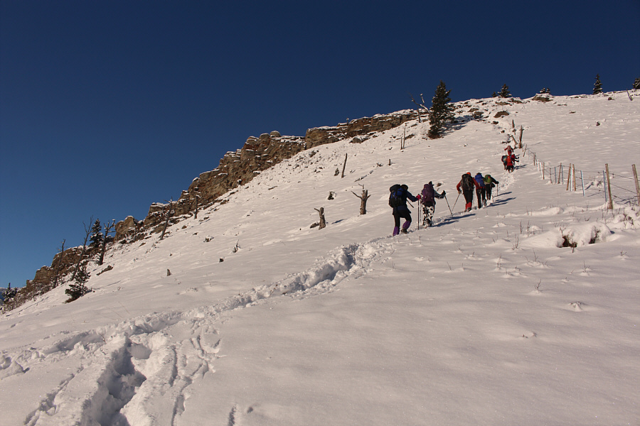 Almost need ice cleats...almost.