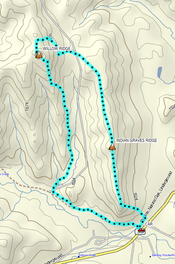 An outing which is more social than strenuous.