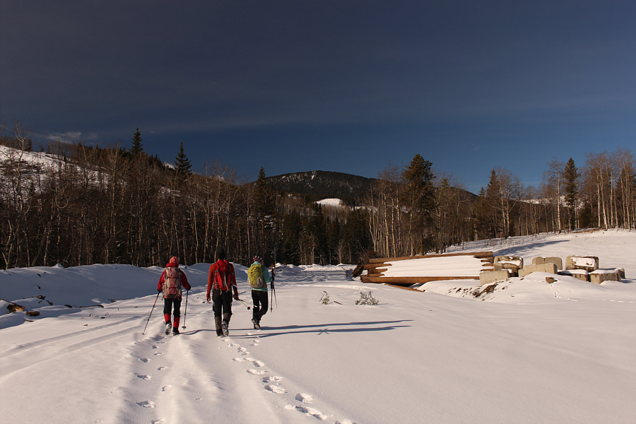 So this is where they dumped everything after the Keystone XL pipeline was cancelled!