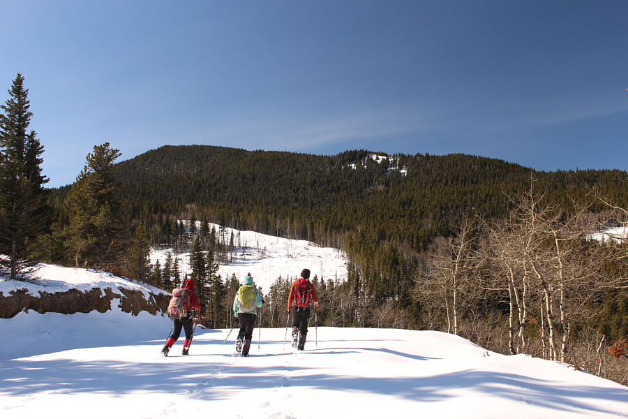 Looks like there's snow in them trees...