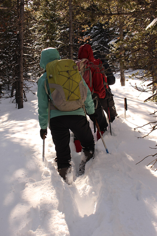 It's a good thing that Ali loves to break trail!