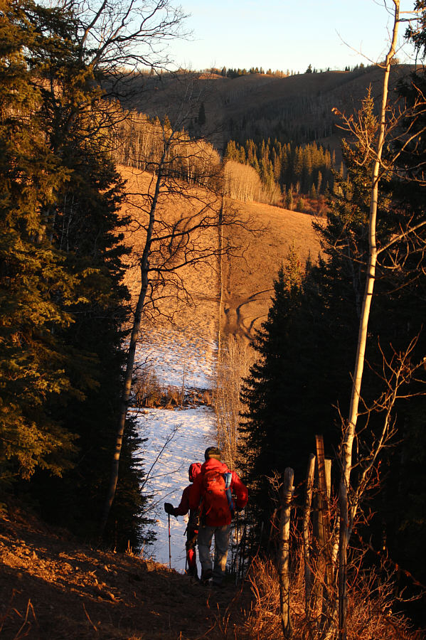 Lots more ups and downs to come!