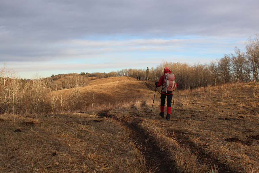 We didn't see another car at the trailhead, so I'm not sure where these guys came from.