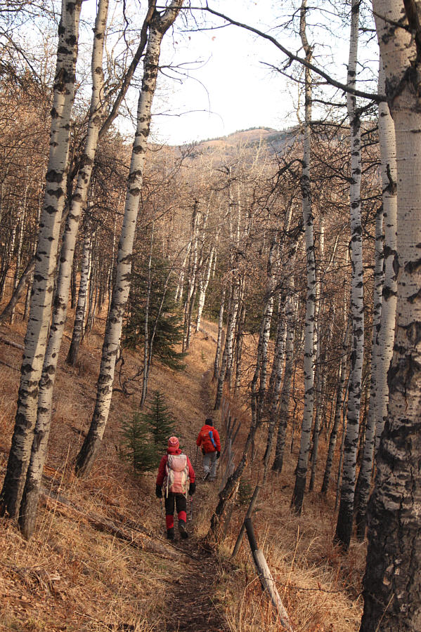 Very pleasant hiking here.