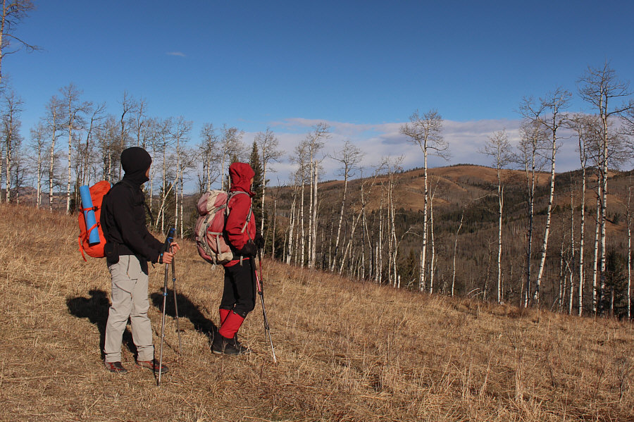 Goodbye, John Ware Ridge North Summit!