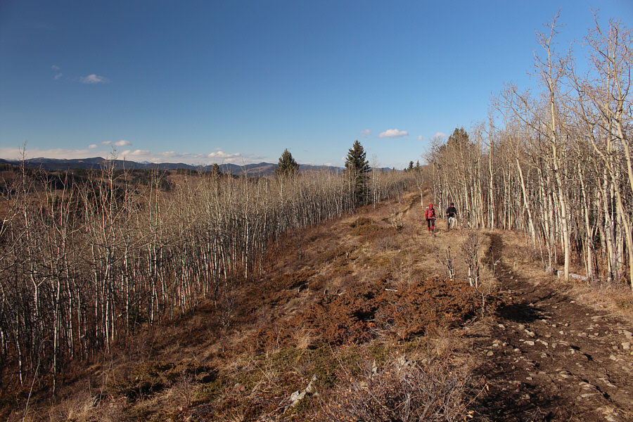 Not that anybody really cares!