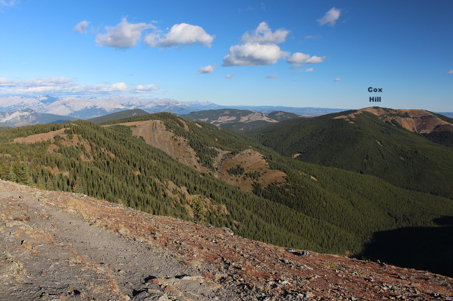 A traverse to Cox Hill from here would be a nice hike...or bike!