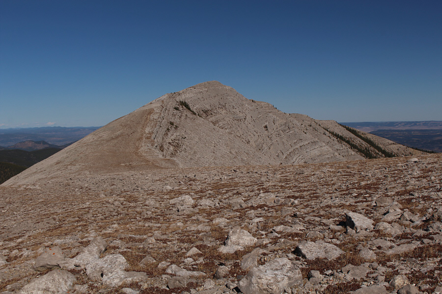 Might be another hike in the near future for us...