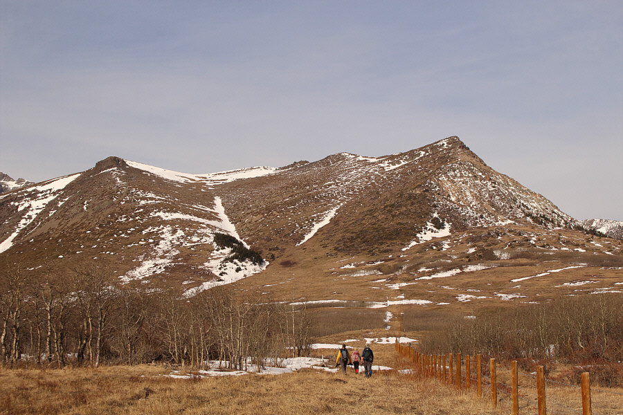 Looks like lots of easy routes up...