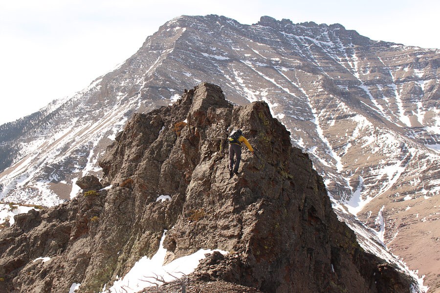 ABS--Always Be Scrambling!