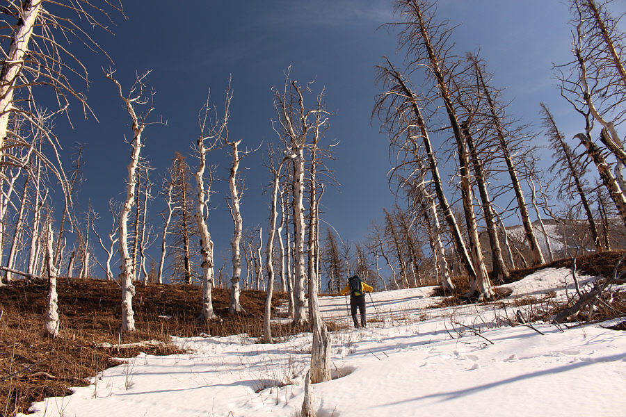 Why are we still going uphill?