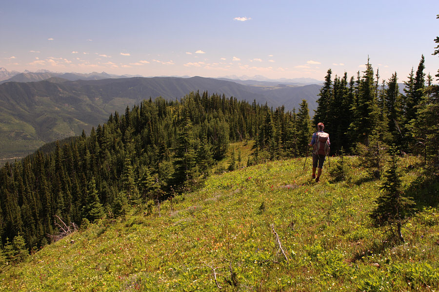 Yep, we shoulda come up this way!