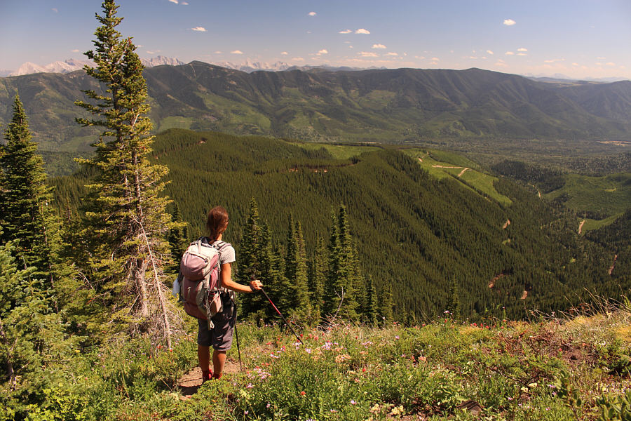 We're gettin' there!