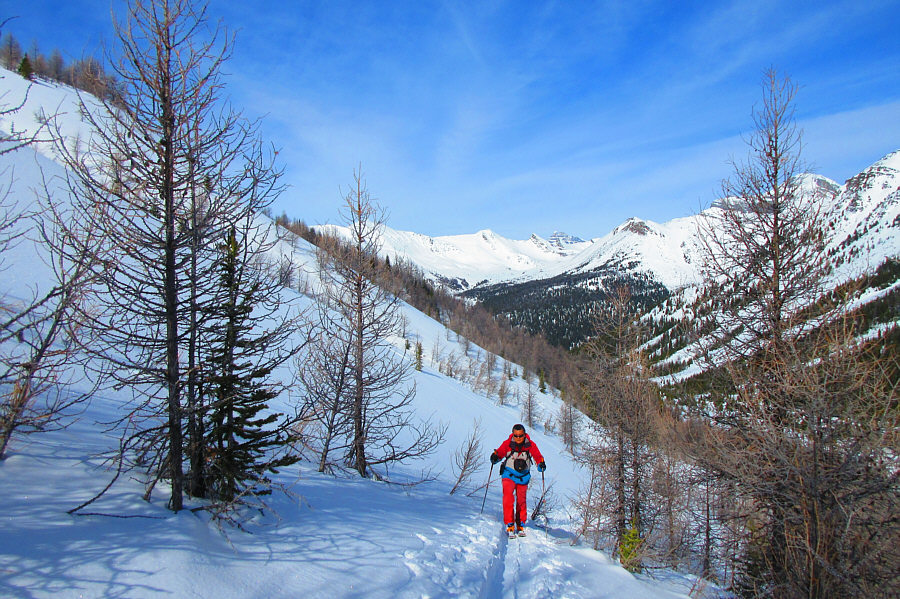 Everything felt very stable and safe though.