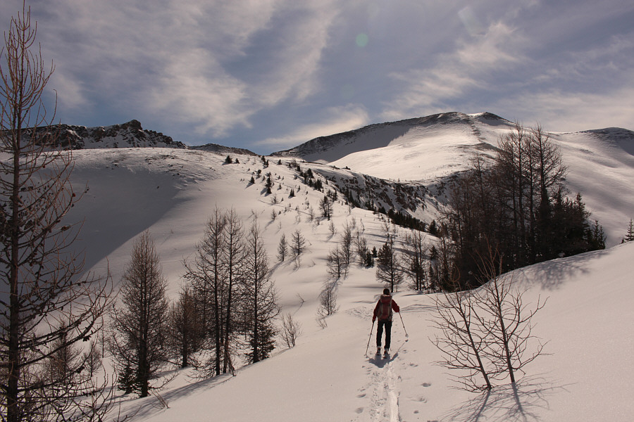 I will never ever climb up this cliff face!
