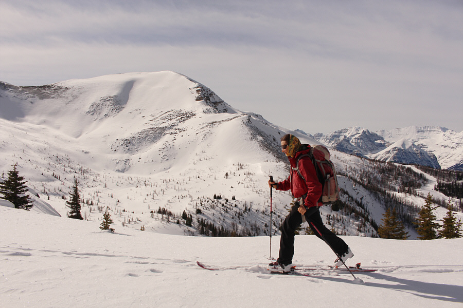 That bowl looks tempting to ski, but I've heard the exit is fraught with route-finding difficulties not to mention avi hazards.