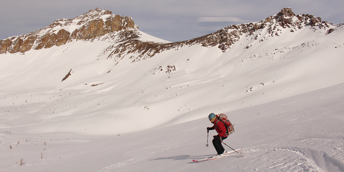 This is the real reason we came here today!